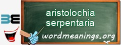WordMeaning blackboard for aristolochia serpentaria
